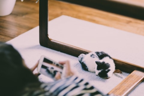 Няня фотографирует черно-белую кошку