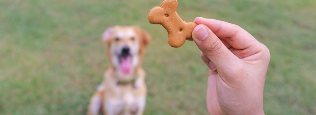 Печенье для собаки? Лучше не надо