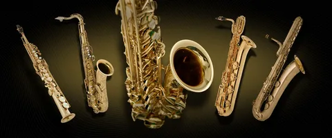 Саксофоны: история, типы и звучание